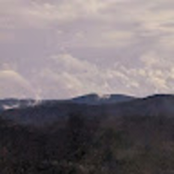 Meet your Posher, Evey - Picture 1 of 1